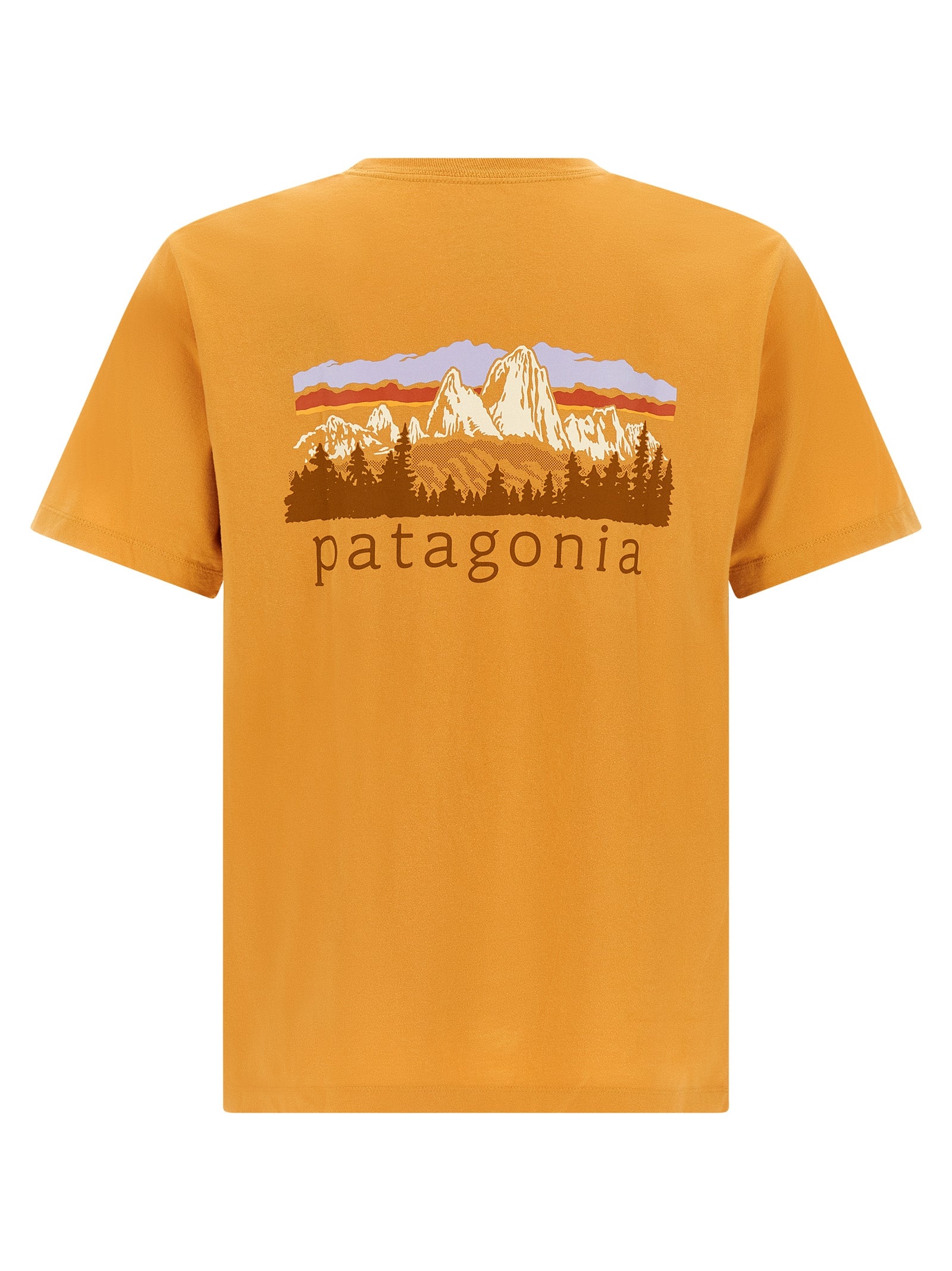 Patagonia Fitz Roy Foothills T-Shirt — Orange, view 2