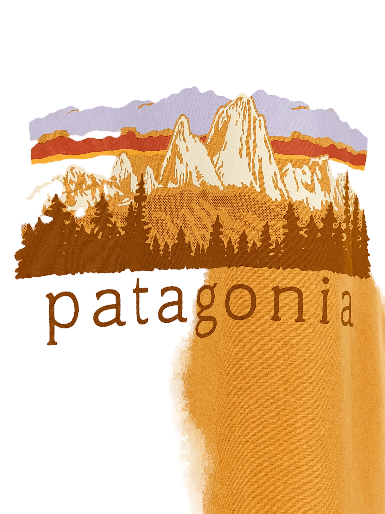 Patagonia Fitz Roy Foothills T-Shirt — Orange, view 4
