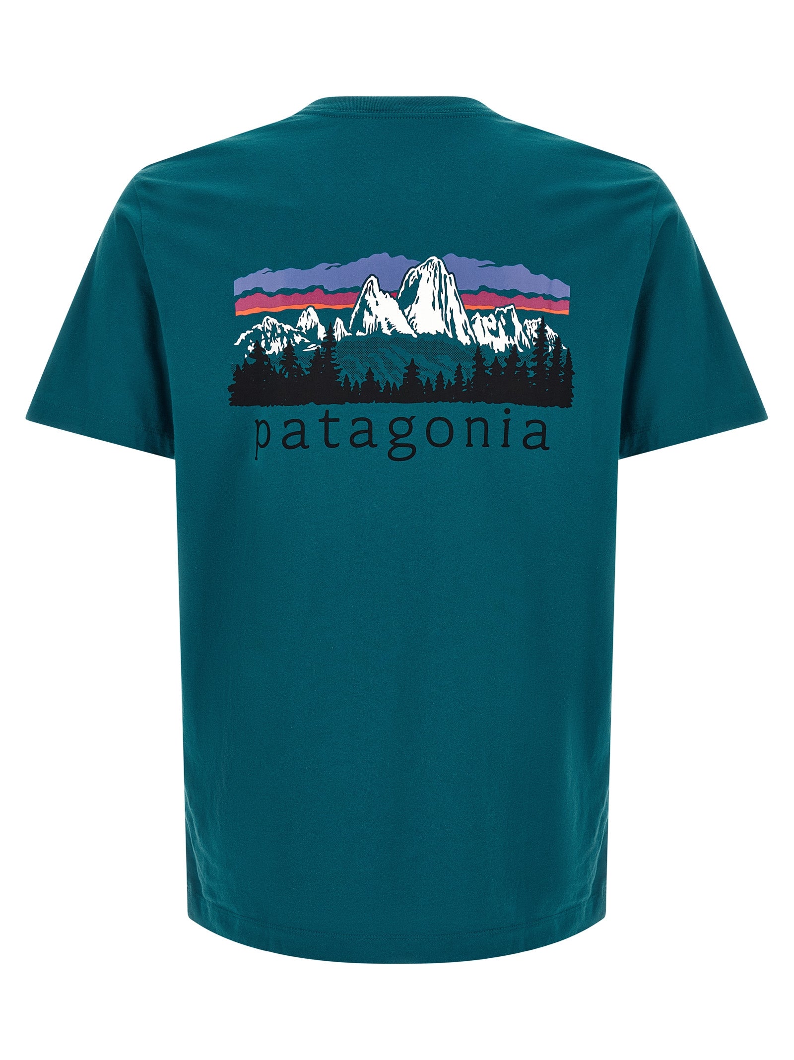 Patagonia Fitz Roy T-Shirt — Green, view 2