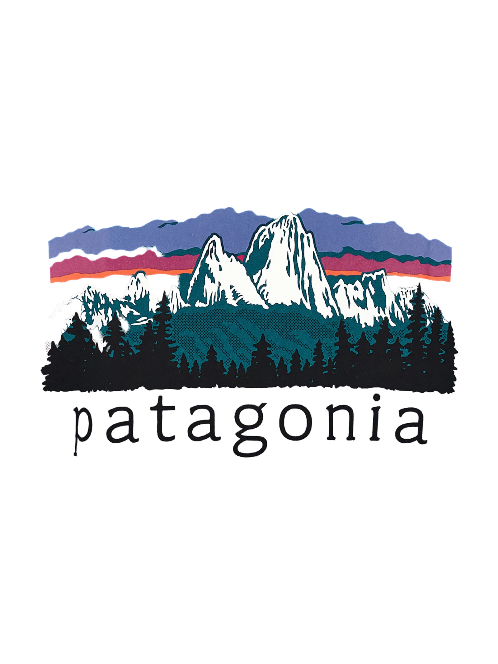 Patagonia Fitz Roy T-Shirt — Green, view 4