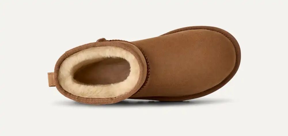 UGG H26 Boot — Chestnut, view 5