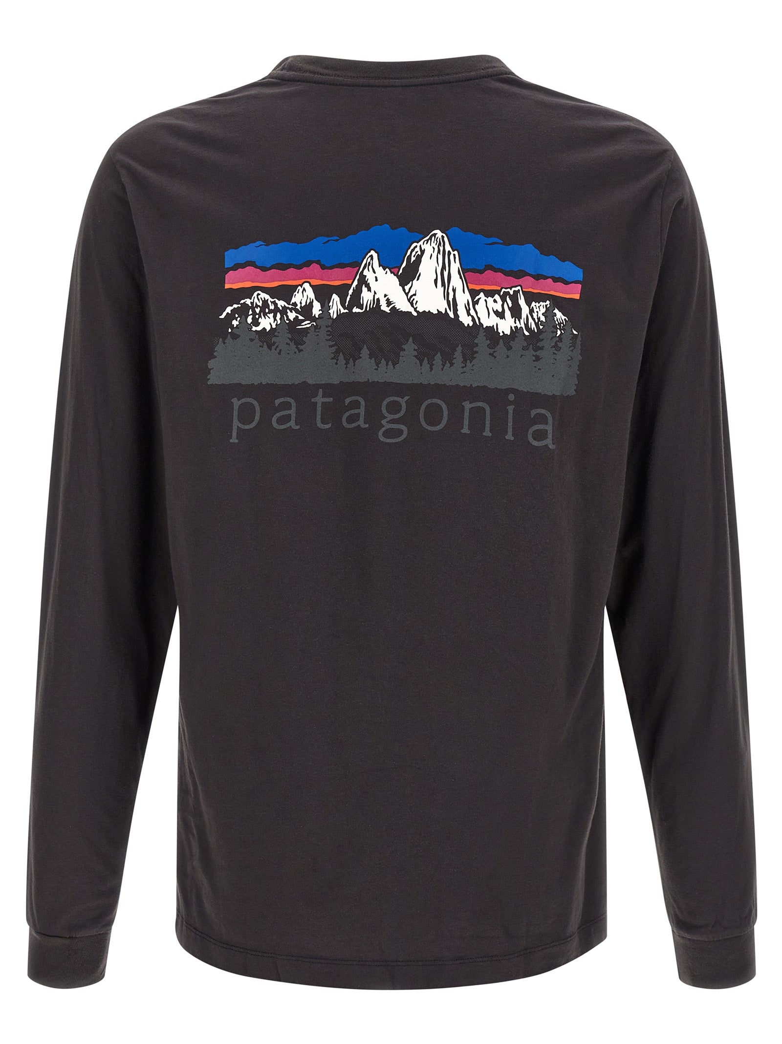 Patagonia Fitz Roy T-Shirt — Black, view 2