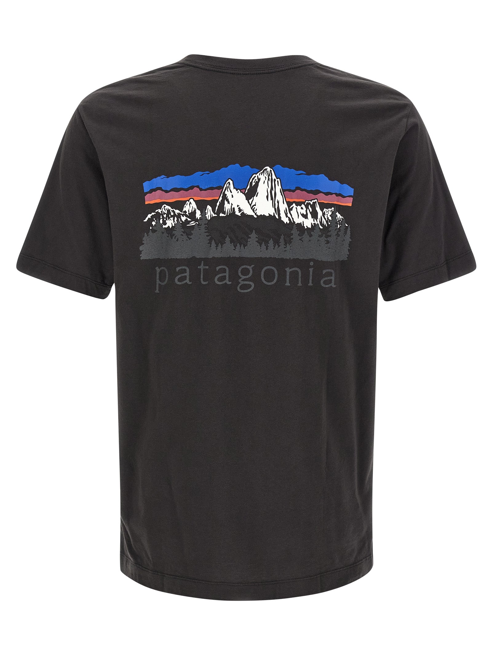 Patagonia Fitz Roy T-Shirt — Black, view 2