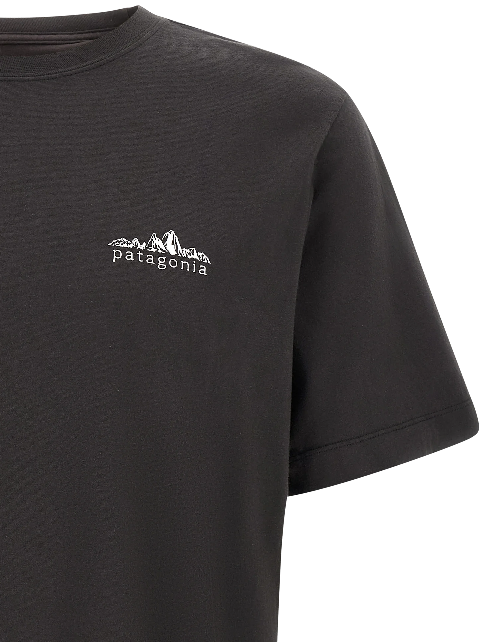 Patagonia Fitz Roy T-Shirt — Black, view 3