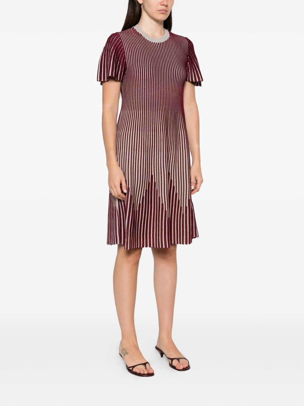 Emporio Armani Striped Ribbed Dress — Burgundy - 38, view 2