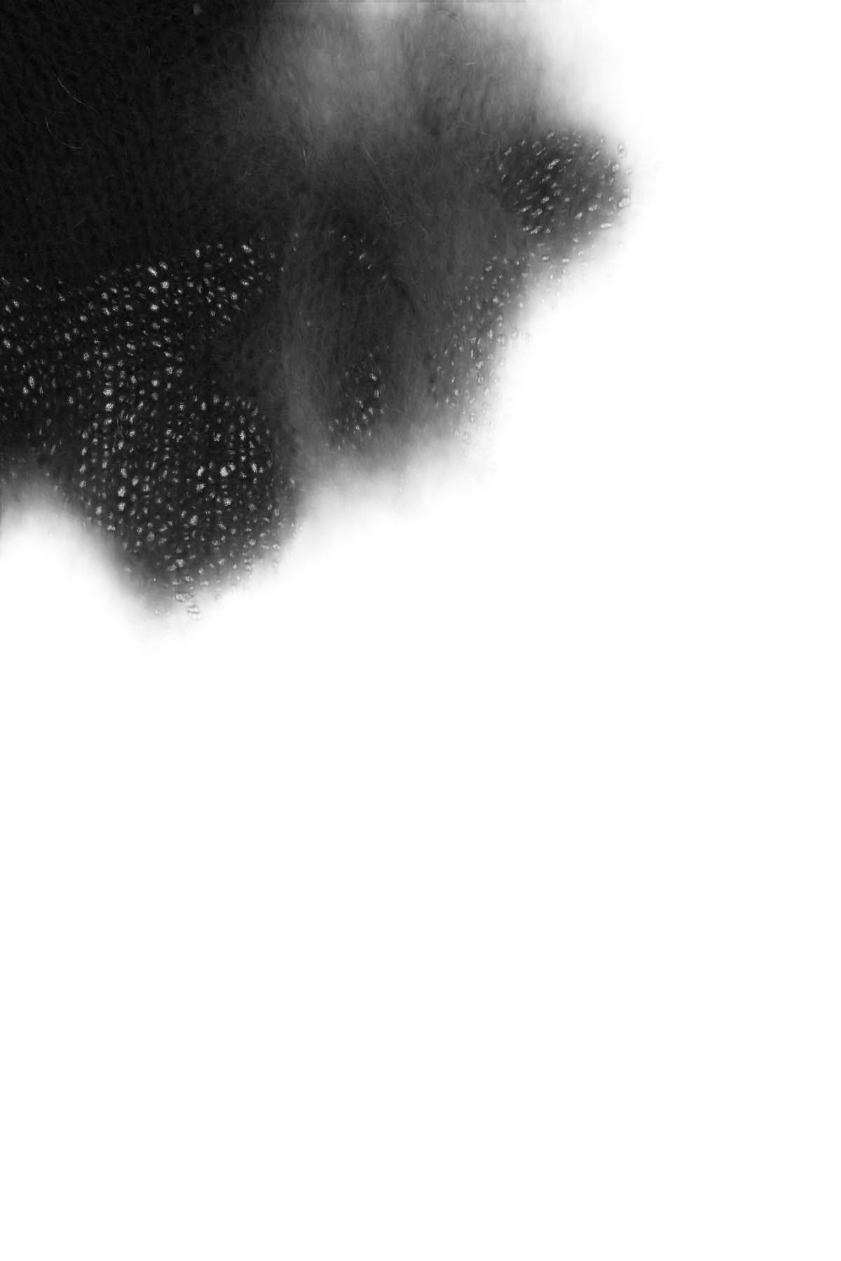 Greta Boldini Nero Dress — Black, view 3