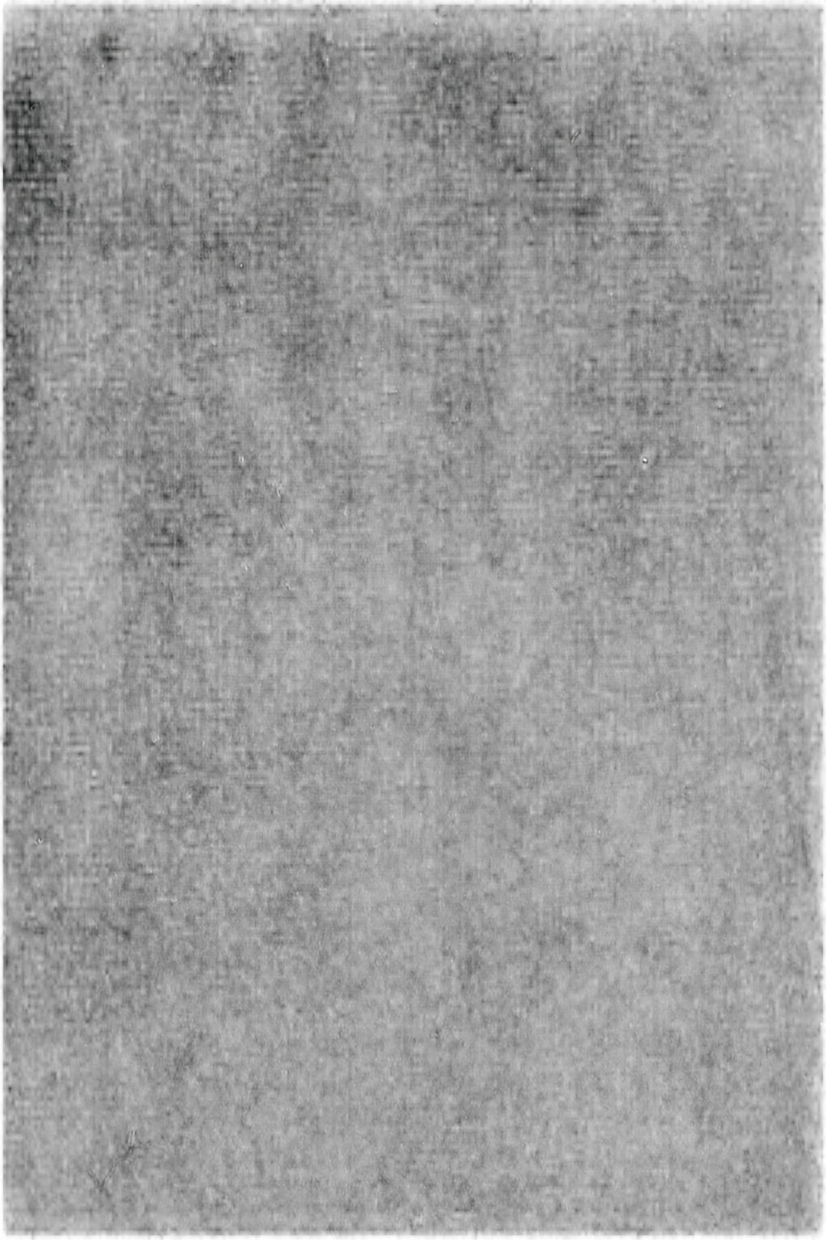 Italist Crewneck T-Shirt — Black, view 3