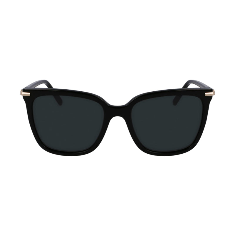 Ferragamo SF2037S001 Frame and Lens Sunglasses — Black, view 2