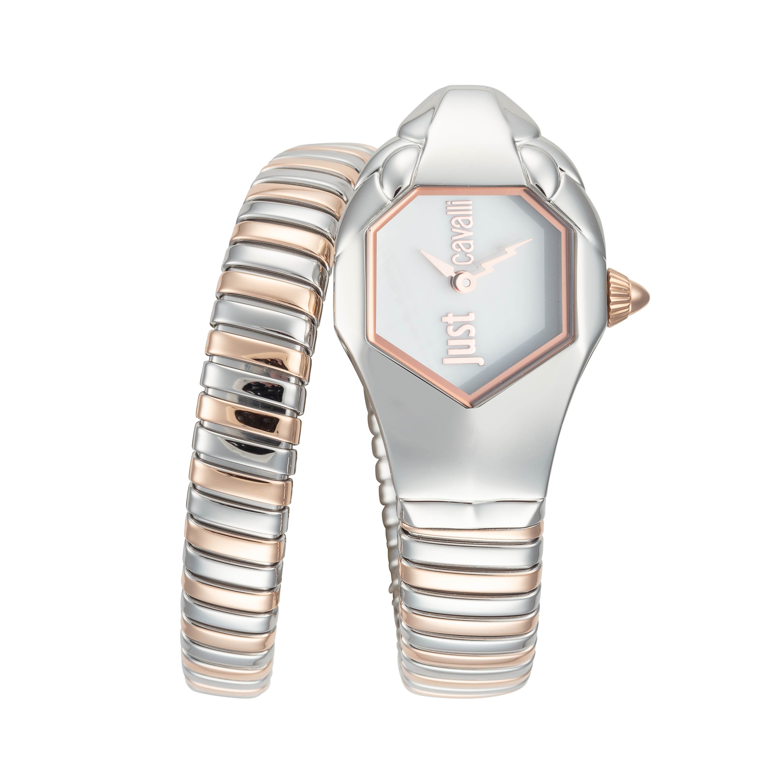 Preloved - Just Cavalli Snake Wrap Stainless Steel Watch — Silver by Preloved - Just Cavalli