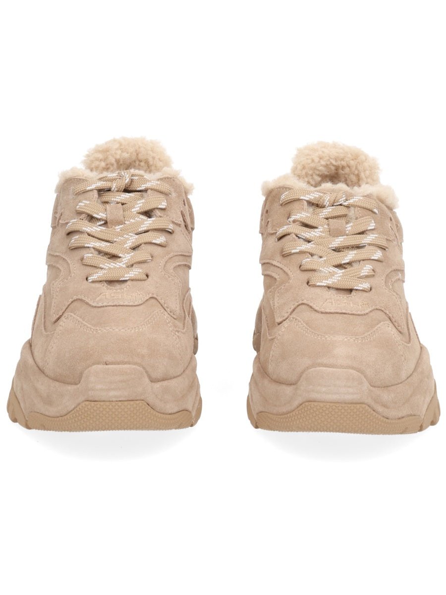 Ash Addict Bis Sneaker — Brown by Ash