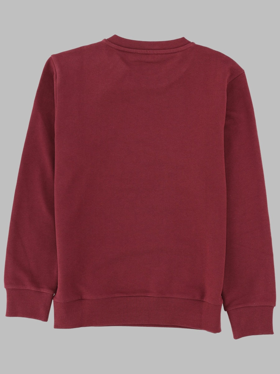 Balmain Cotton Sweatshirt — Brown, view 2