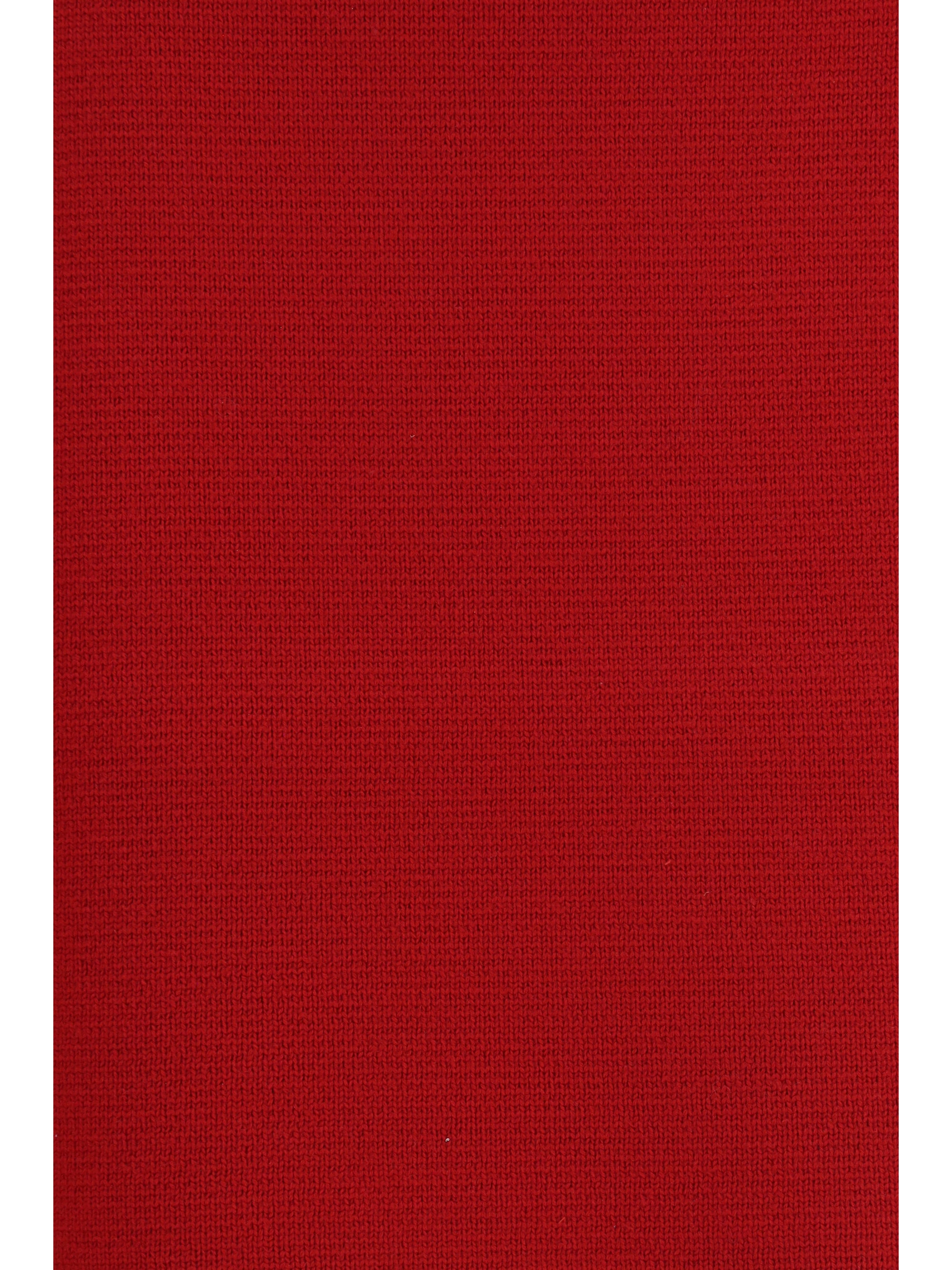 Fabiana Filippi Merino Wool Skirt — Red, view 2