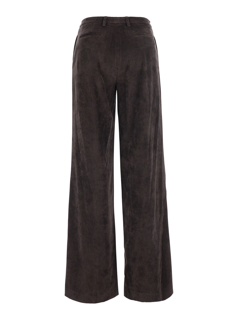 Leplain Ribbed Tech Fabric Trousers — Brown, view 2