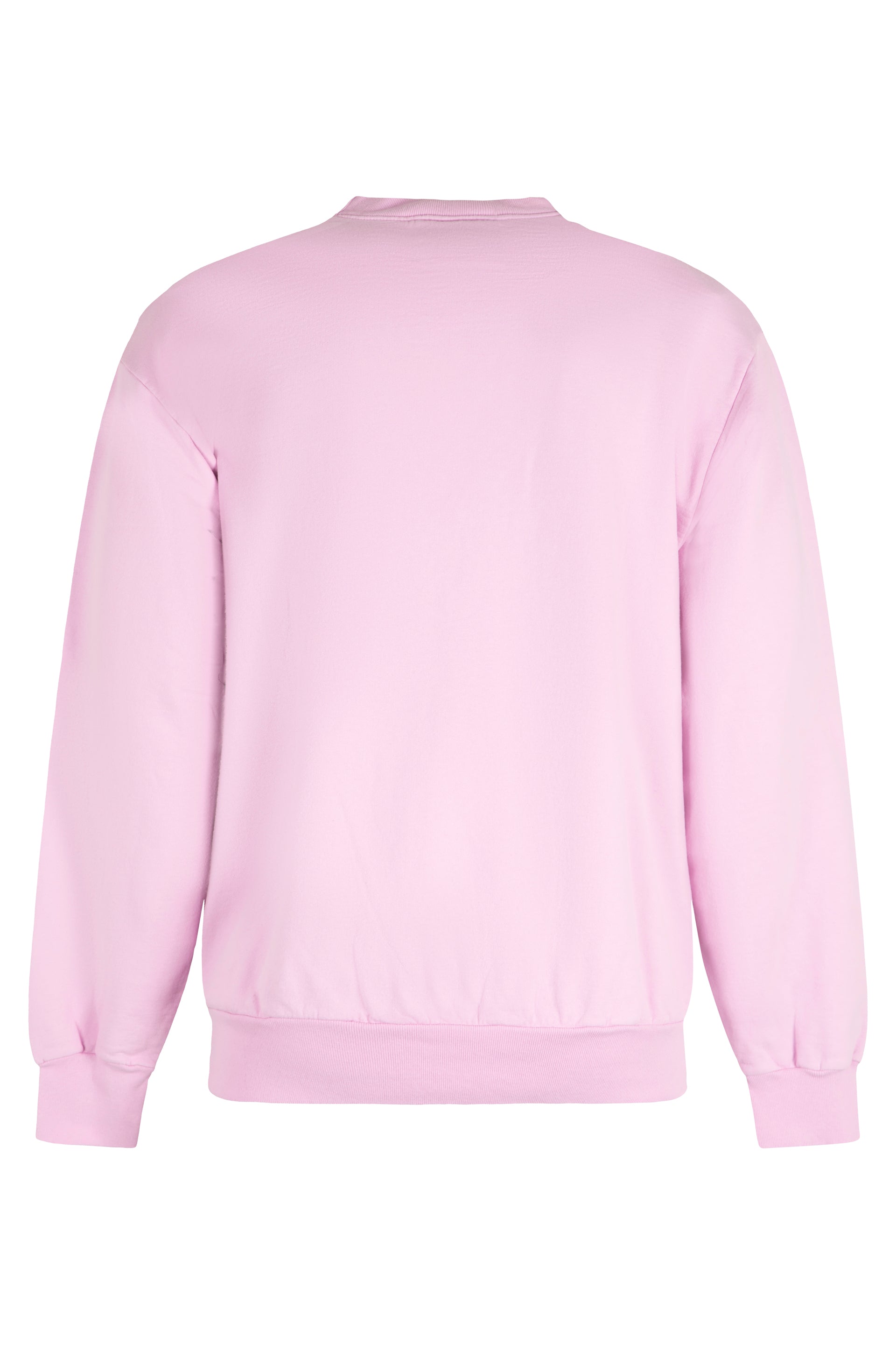 Local Authority Crew-Neck Cotton Sweatshirt — Pink, view 2