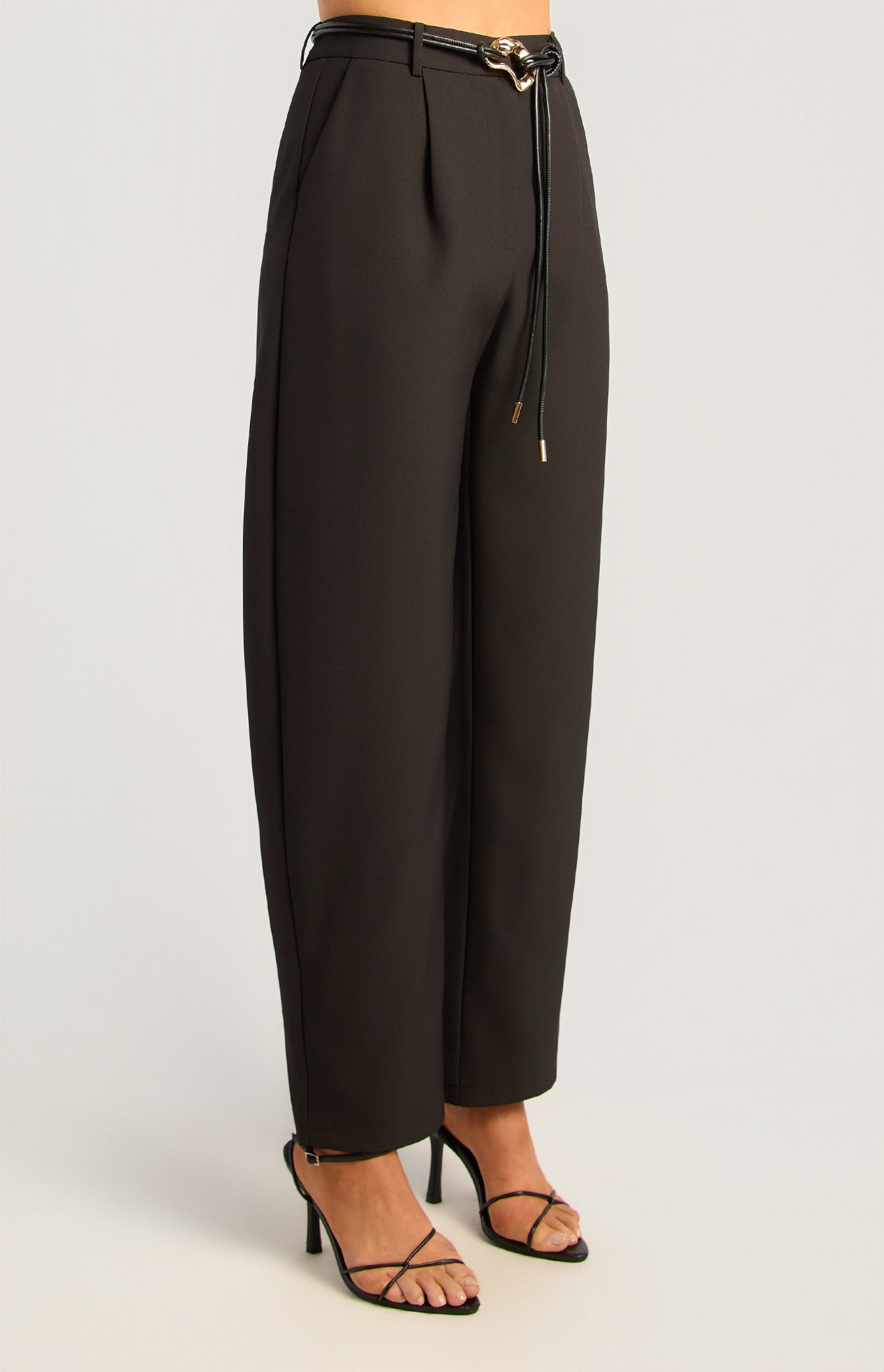 Aurelle Belted Pants, view 5
