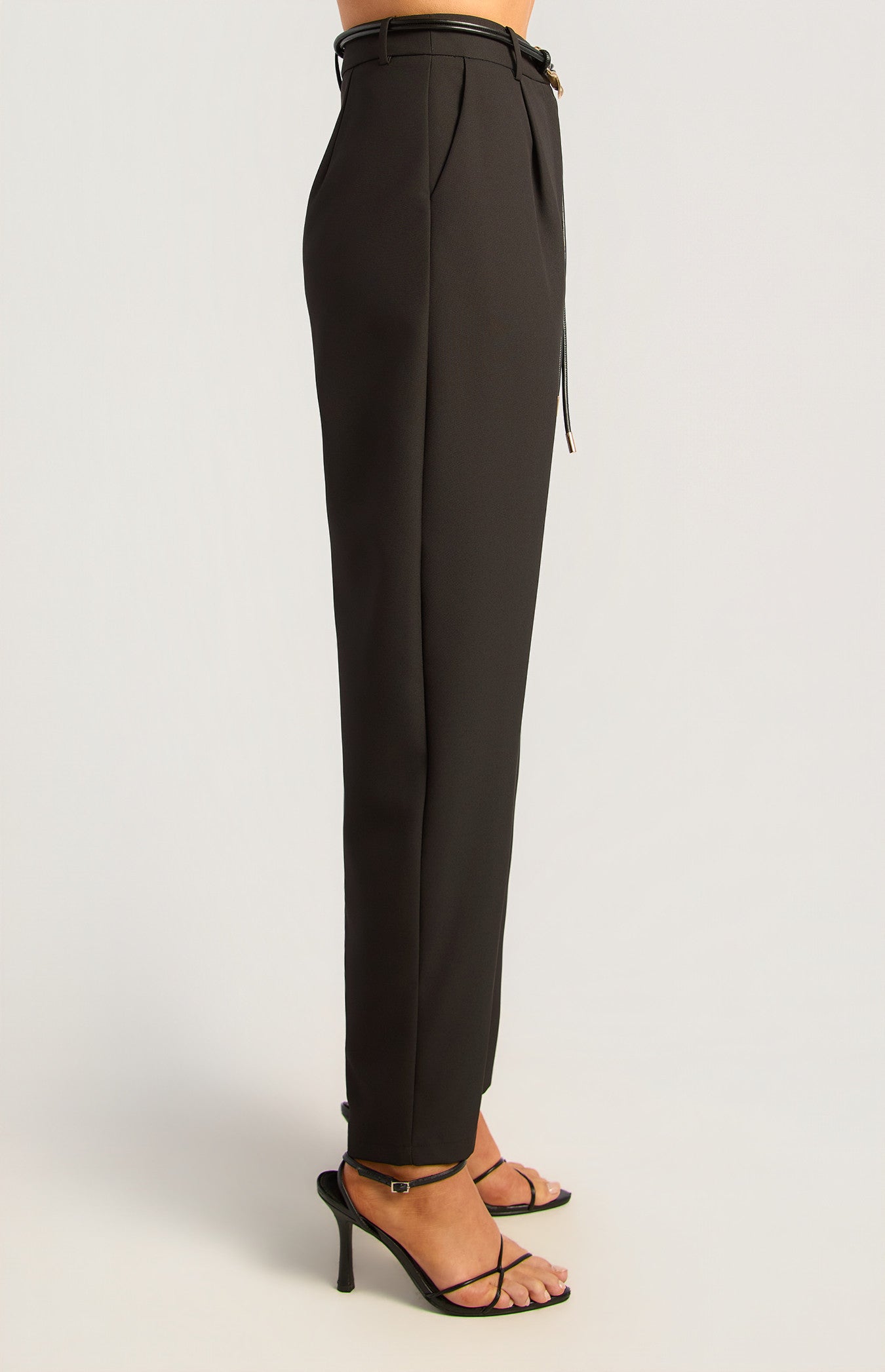 Aurelle Belted Pants, view 6