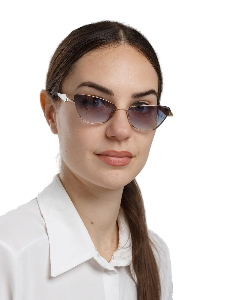 Ana Hickmann AH3347 Gradient Lens Metal Sunglasses — Gold by Ana Hickmann