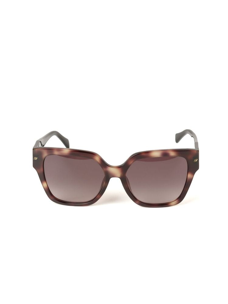 Blumarine SBM905 Havana Brown Acetate Sunglasses — Brown, view 3