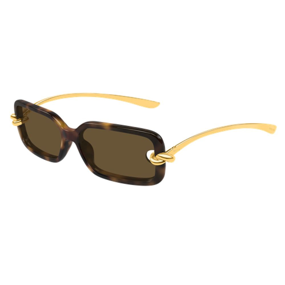 Bottega Veneta Eyewear BV1439S Gold-Knot Acetate Sunglasses — Brown, view 2