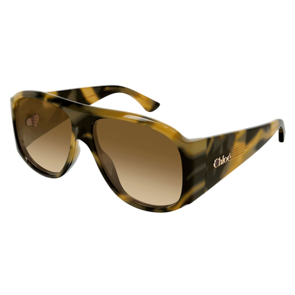 Chloé Eyewear CH0347S Tortoiseshell Acetate Sunglasses — Brown, view 2