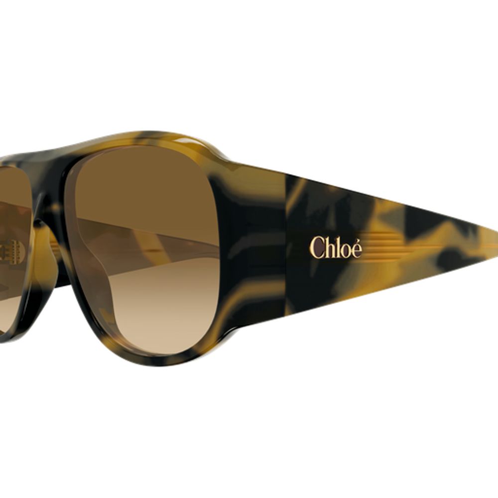 Chloé Eyewear CH0347S Tortoiseshell Acetate Sunglasses — Brown, view 3