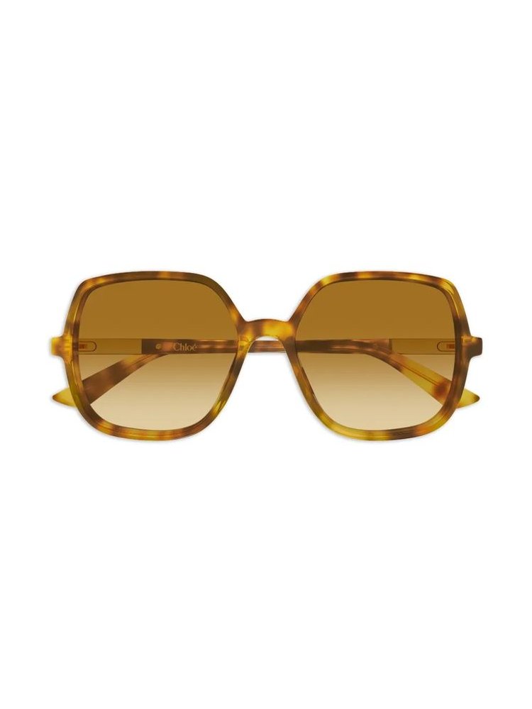 Chloé Eyewear CH0362S Sunglasses — Tortoiseshell by Chloé Eyewear