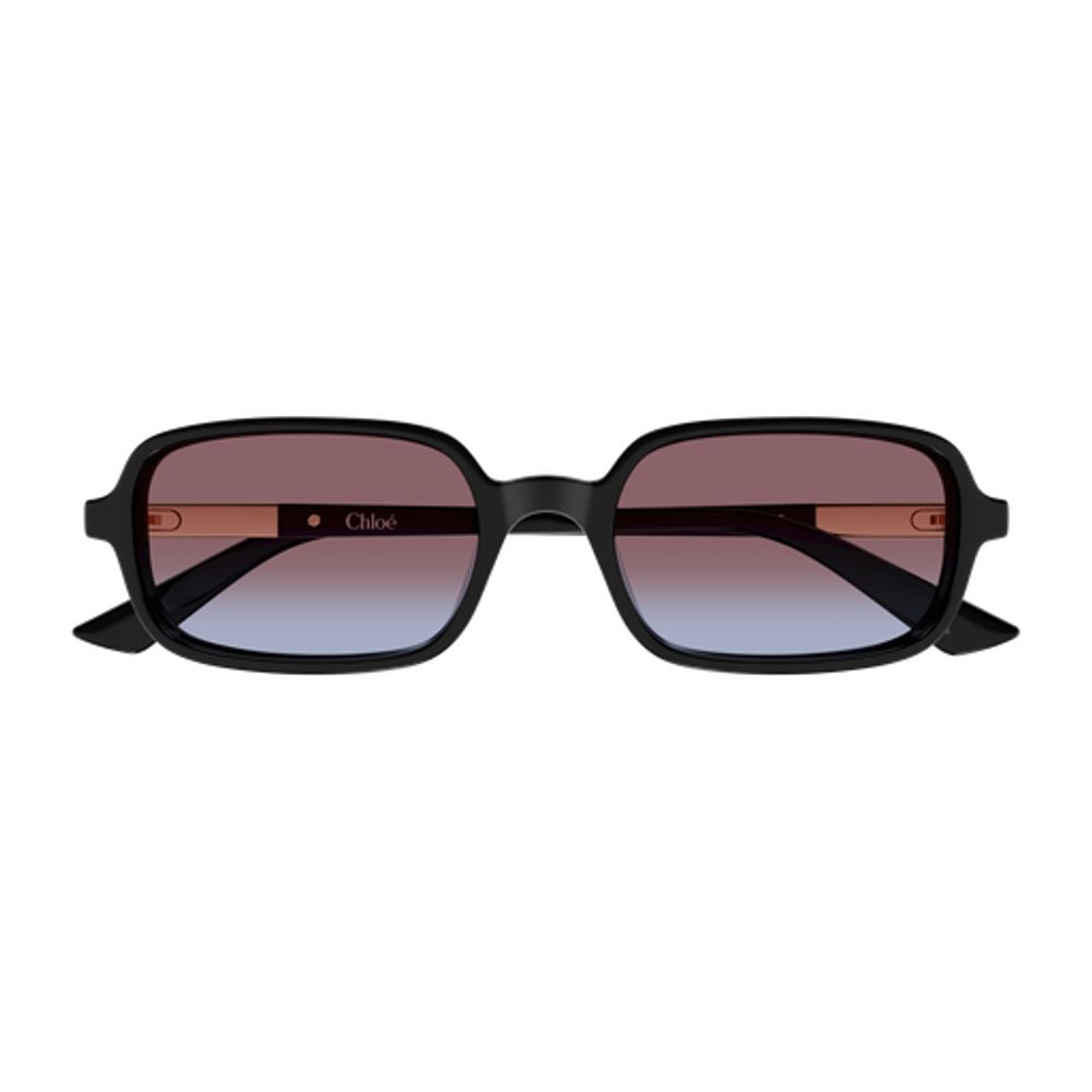 Chloé Eyewear CH0363S Sunglasses — Black by Chloé Eyewear