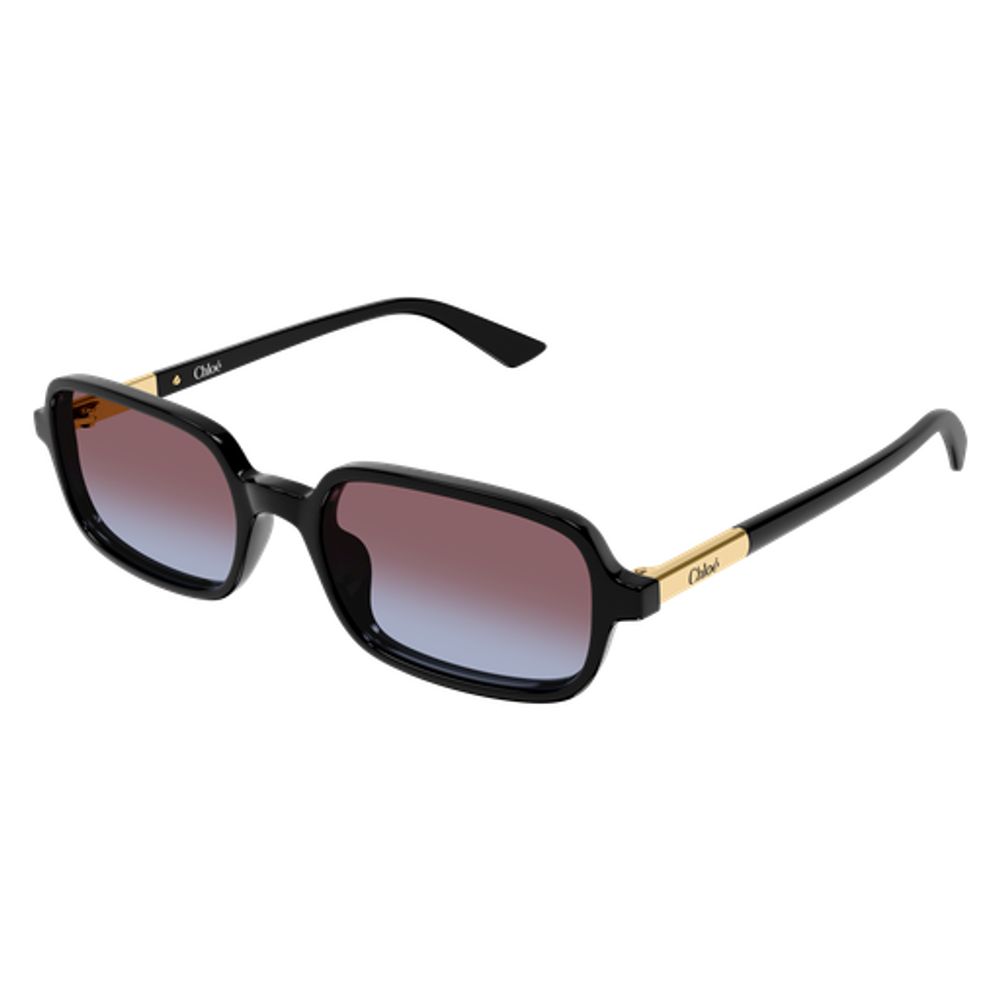 Chloé Eyewear CH0363S Sunglasses — Black, view 2
