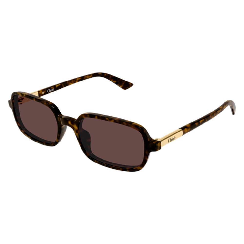 Chloé Eyewear CH0363S002 Recycled Acetate Sunglasses — Brown, view 2