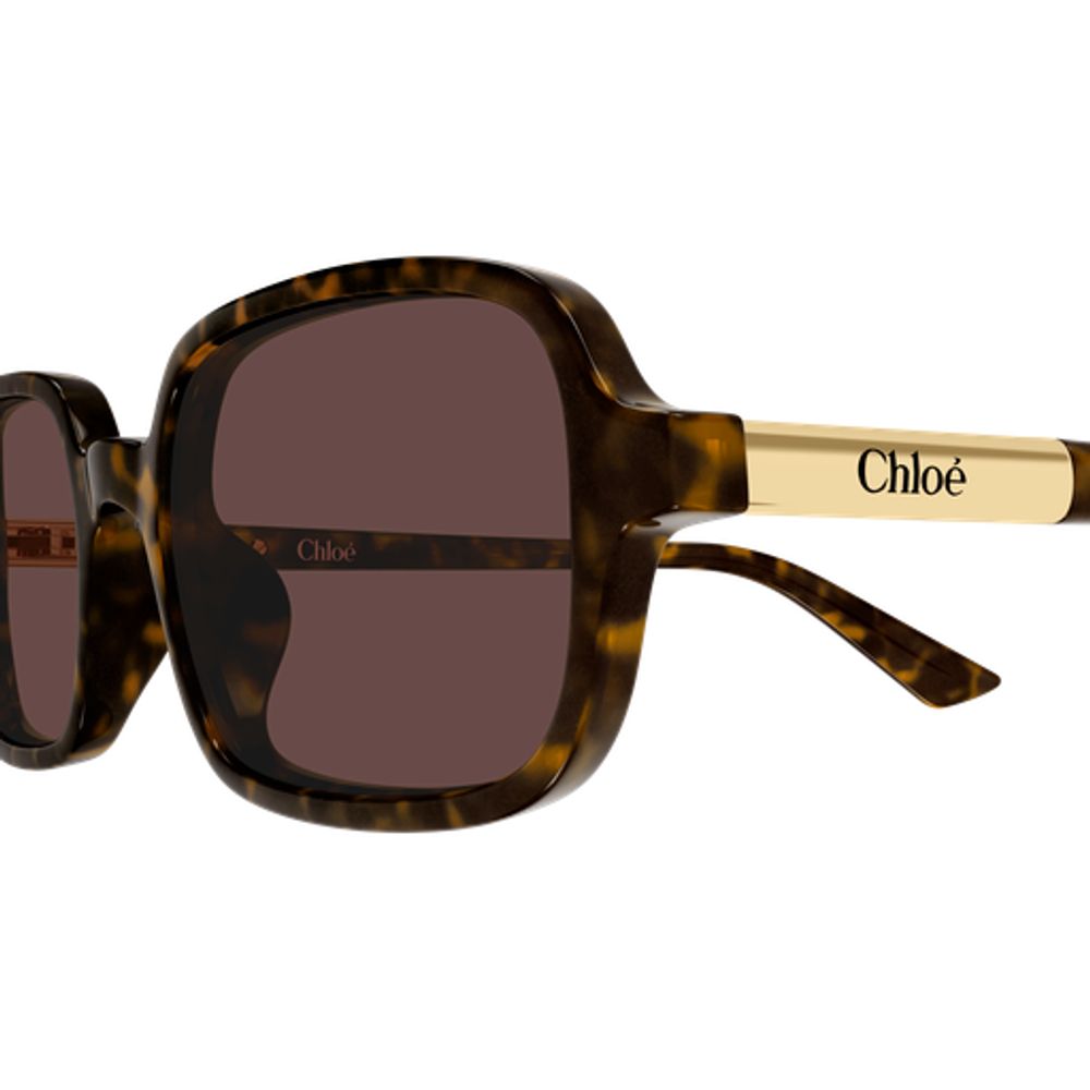 Chloé Eyewear CH0363S002 Recycled Acetate Sunglasses — Brown, view 3