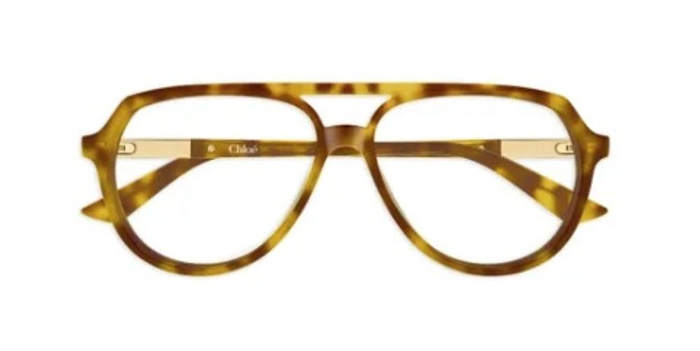 Chloé Eyewear CH0366O Recycled Acetate Sunglasses — Brown by Chloé Eyewear