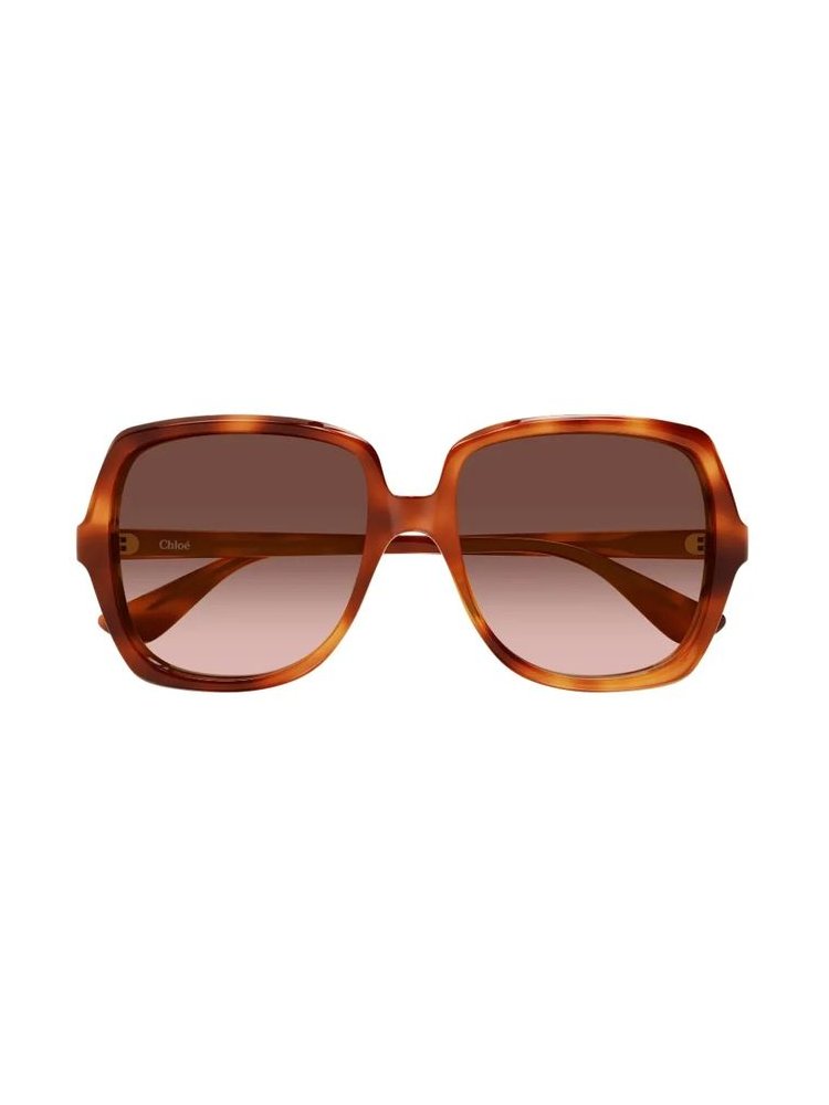 Chloé Eyewear CH0388S Sunglasses — Brown by Chloé Eyewear