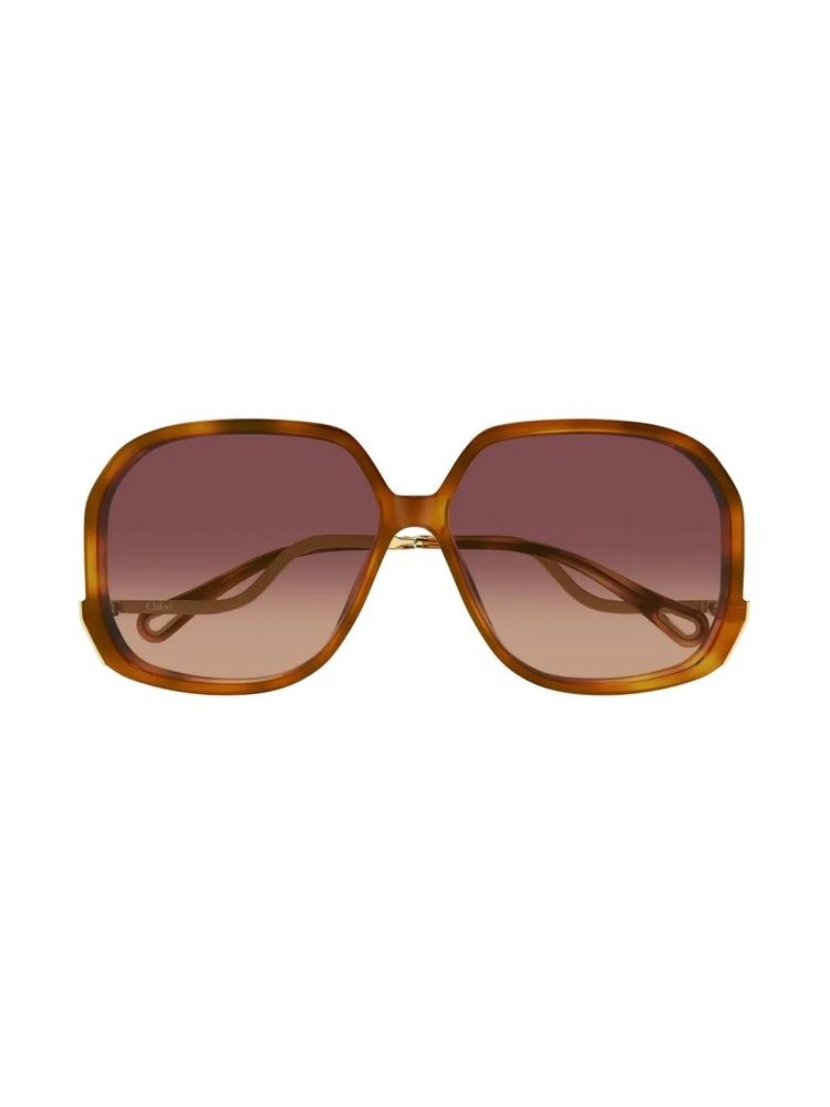 Chloé Eyewear CH0404S Oversized Havana Sunglasses — Brown by Chloé Eyewear