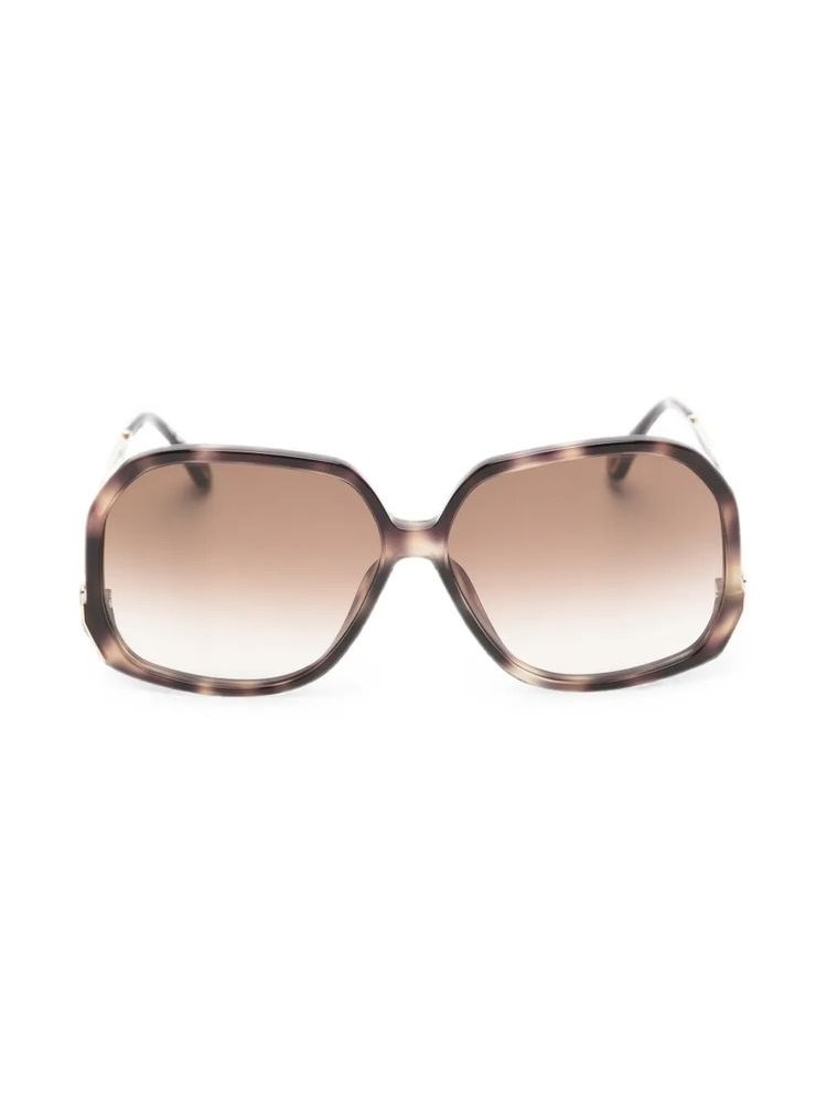 Chloé Eyewear CH0404S Sunglasses — Havana by Chloé Eyewear
