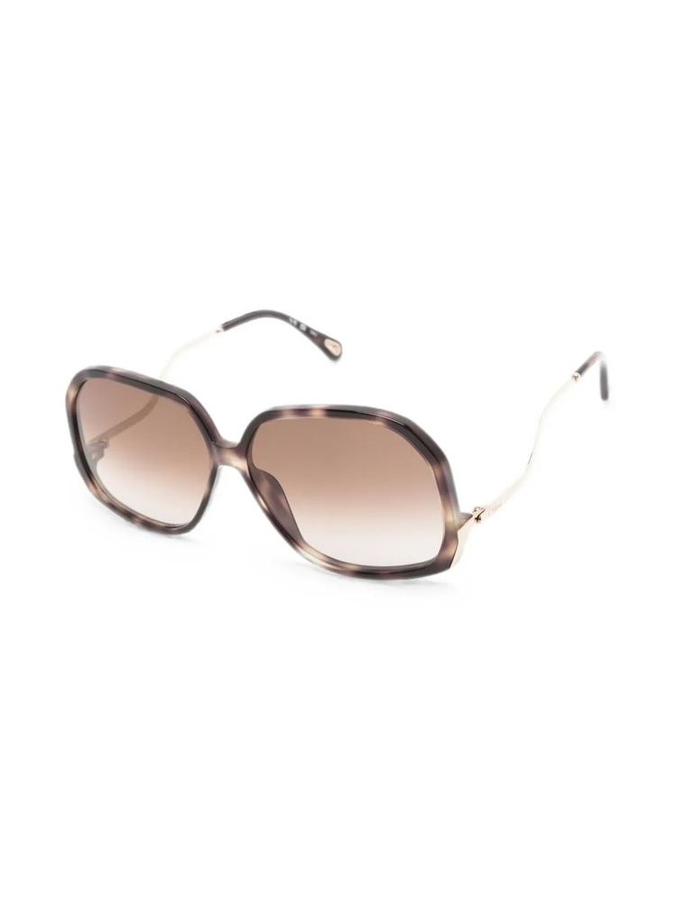 Chloé Eyewear CH0404S Sunglasses — Havana, view 2