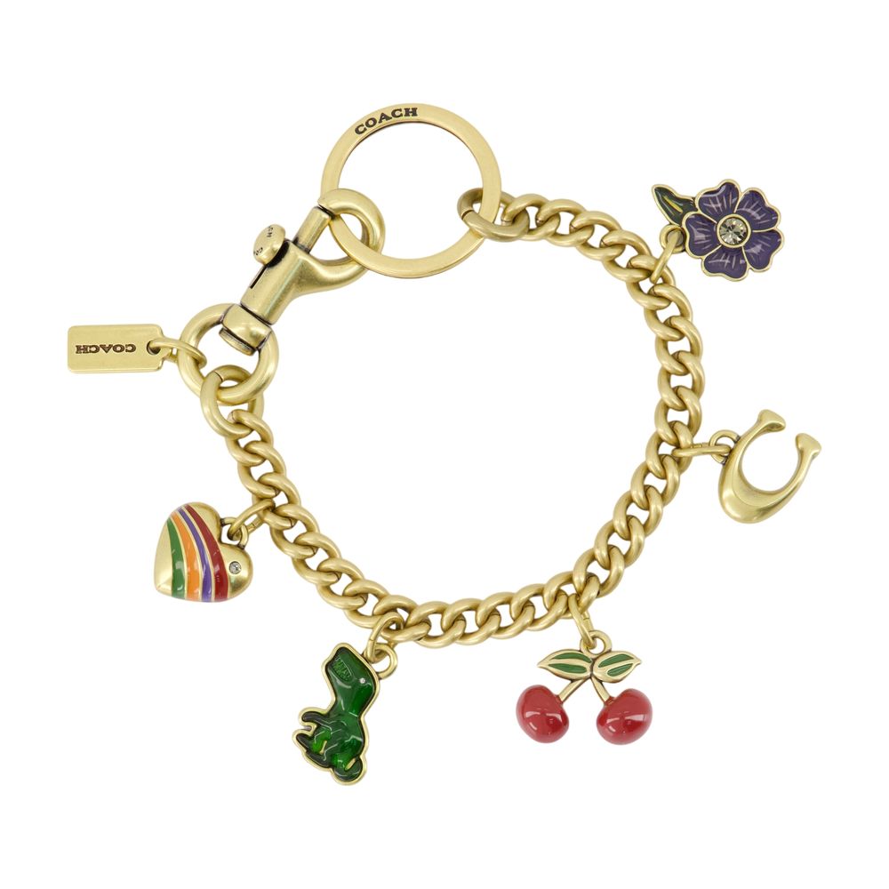 Coach Charm-Embellished Chain Key Case — Gold by Coach