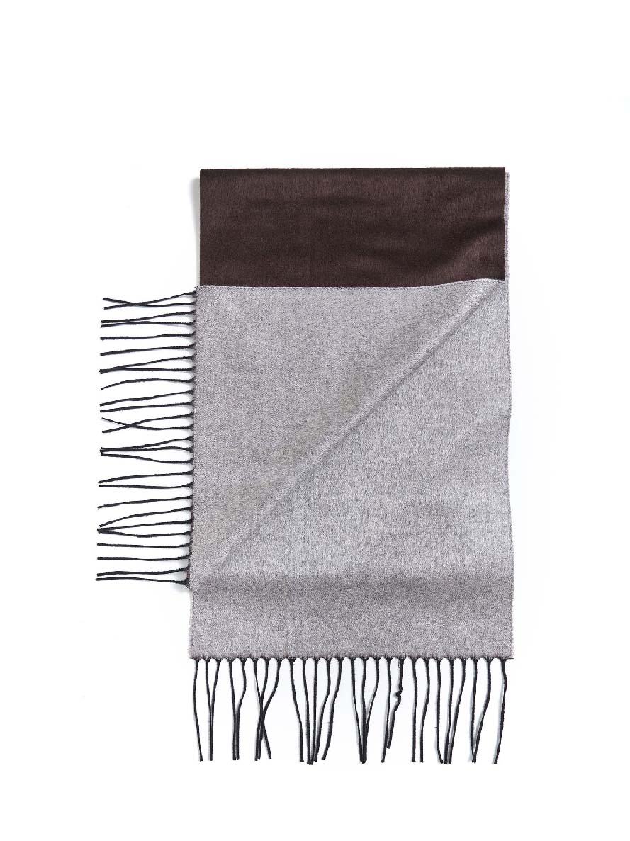 D 4.0 Fringed Silk-Cashmere Scarf — Brown, view 2