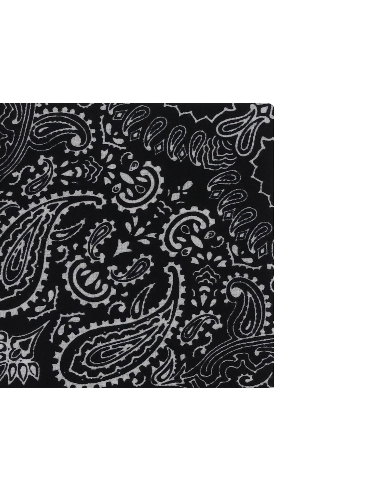 Destin Bandana Print Scarf — Black, view 3
