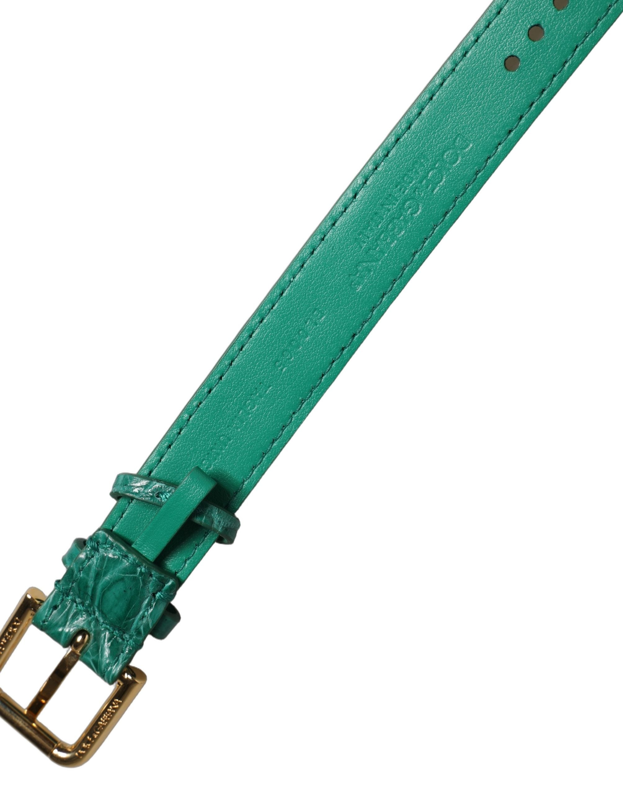 Dolce & Gabbana Caiman Leather with Gold Buckle Belt — Green by Dolce Gabbana
