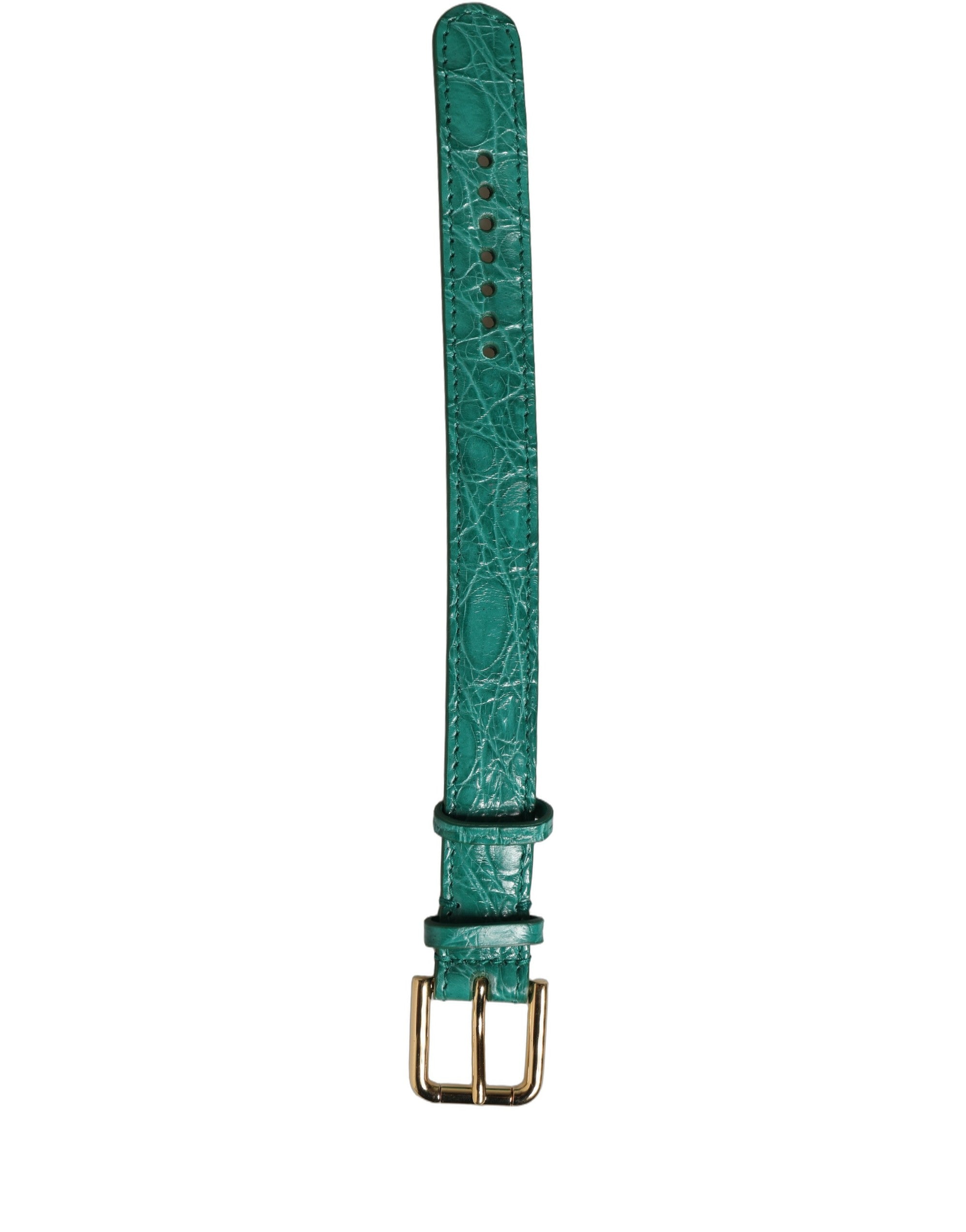 Dolce & Gabbana Caiman Leather with Gold Buckle Belt — Green, view 2