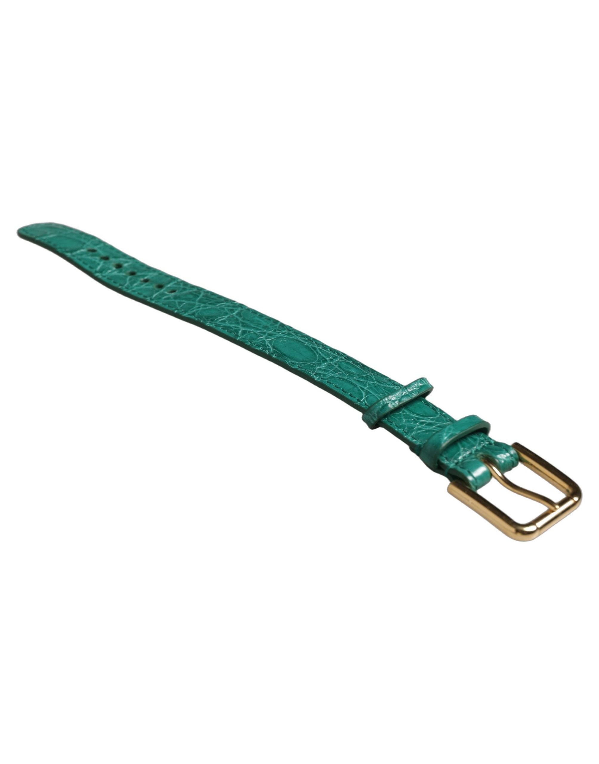 Dolce & Gabbana Caiman Leather with Gold Buckle Belt — Green, view 3