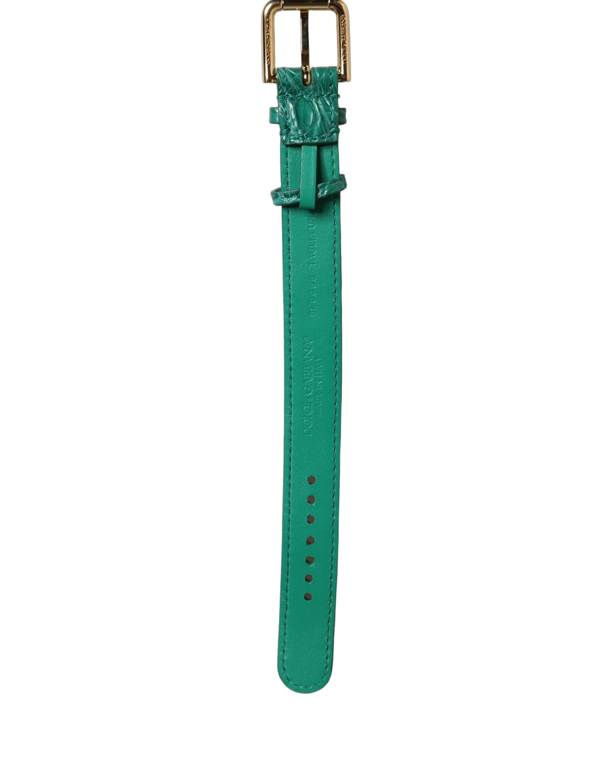 Dolce & Gabbana Caiman Leather with Gold Buckle Belt — Green, view 5
