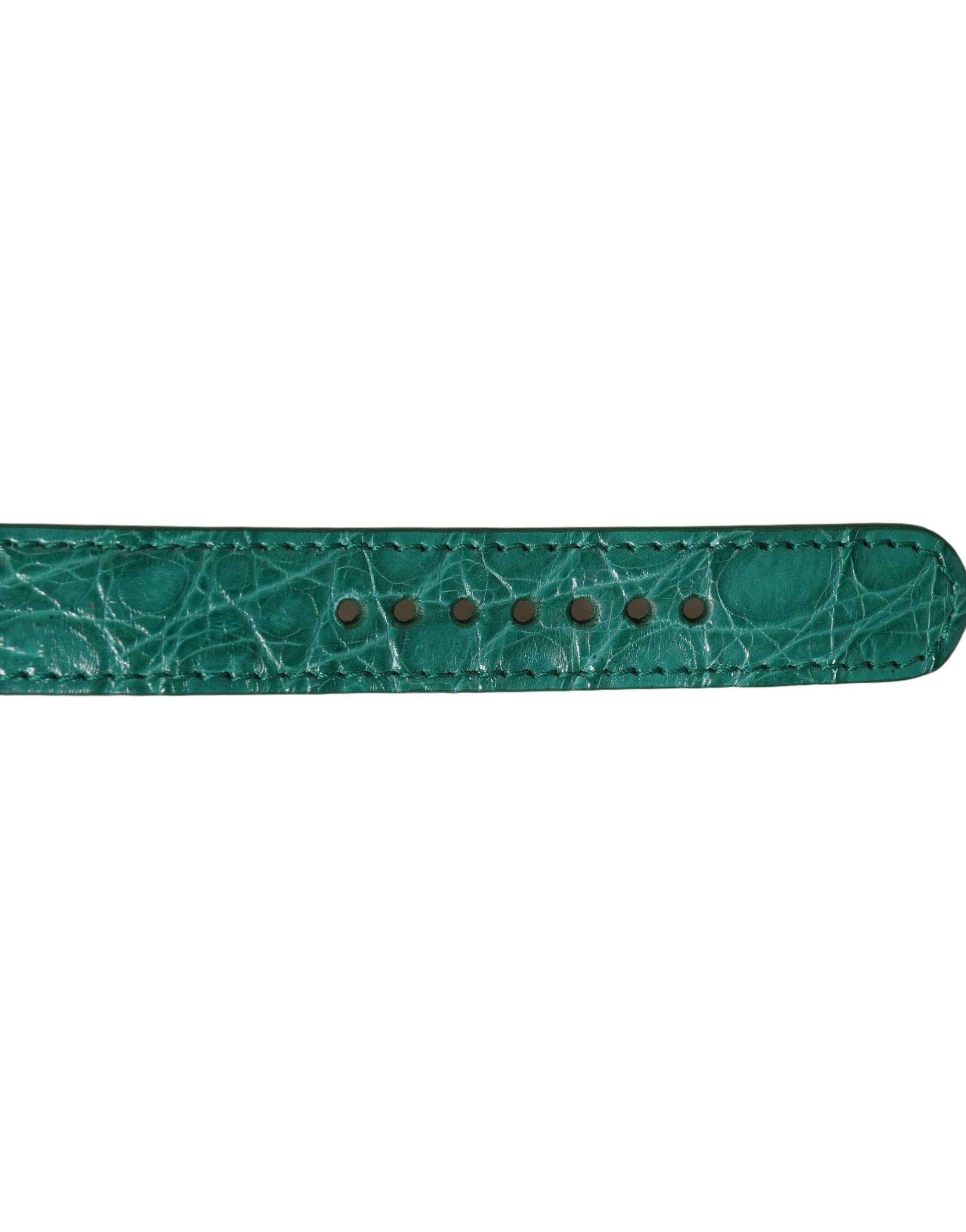 Dolce & Gabbana Caiman Leather with Gold Buckle Belt — Green, view 6