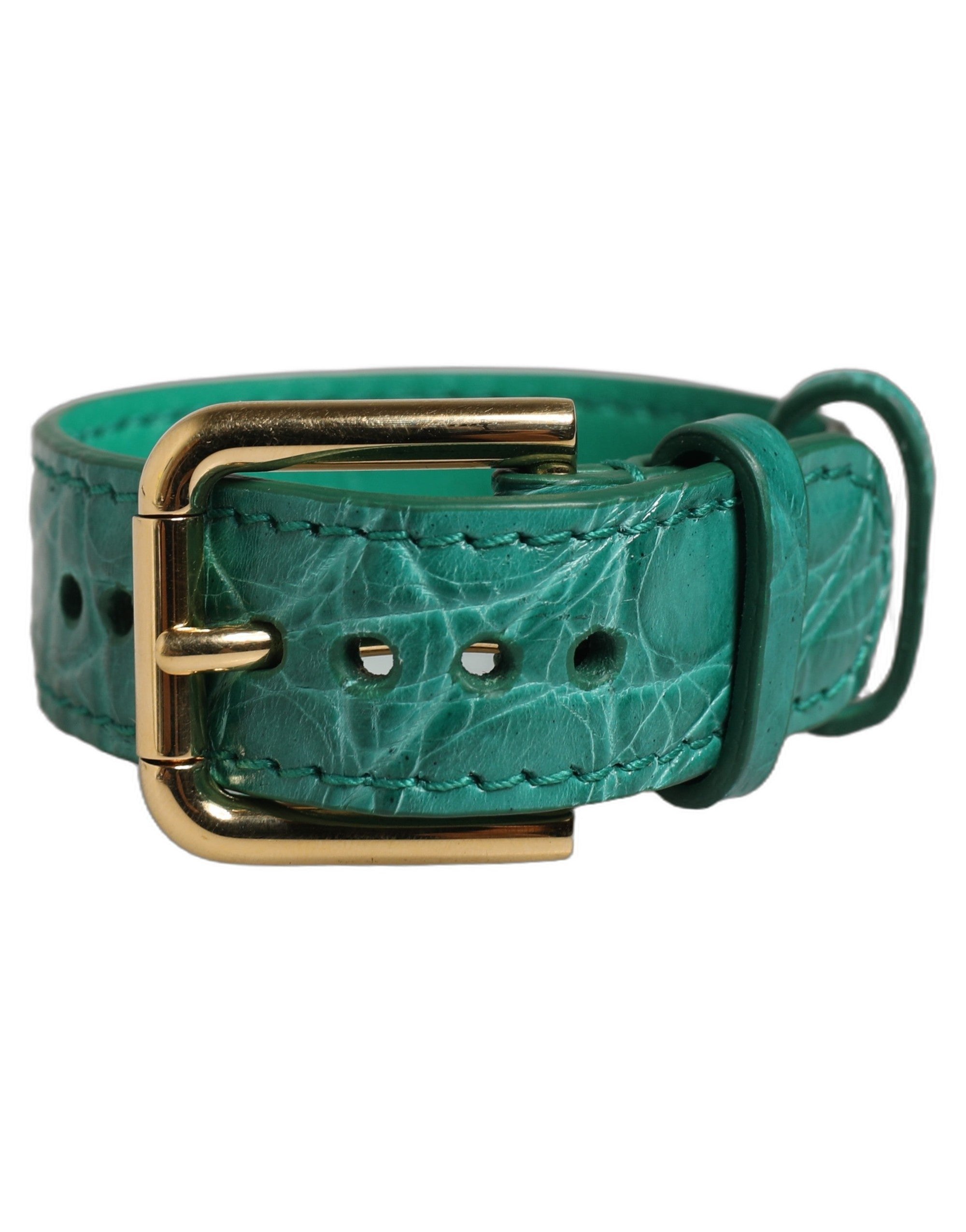 Dolce & Gabbana Caiman Leather with Gold Buckle Belt — Green, view 7