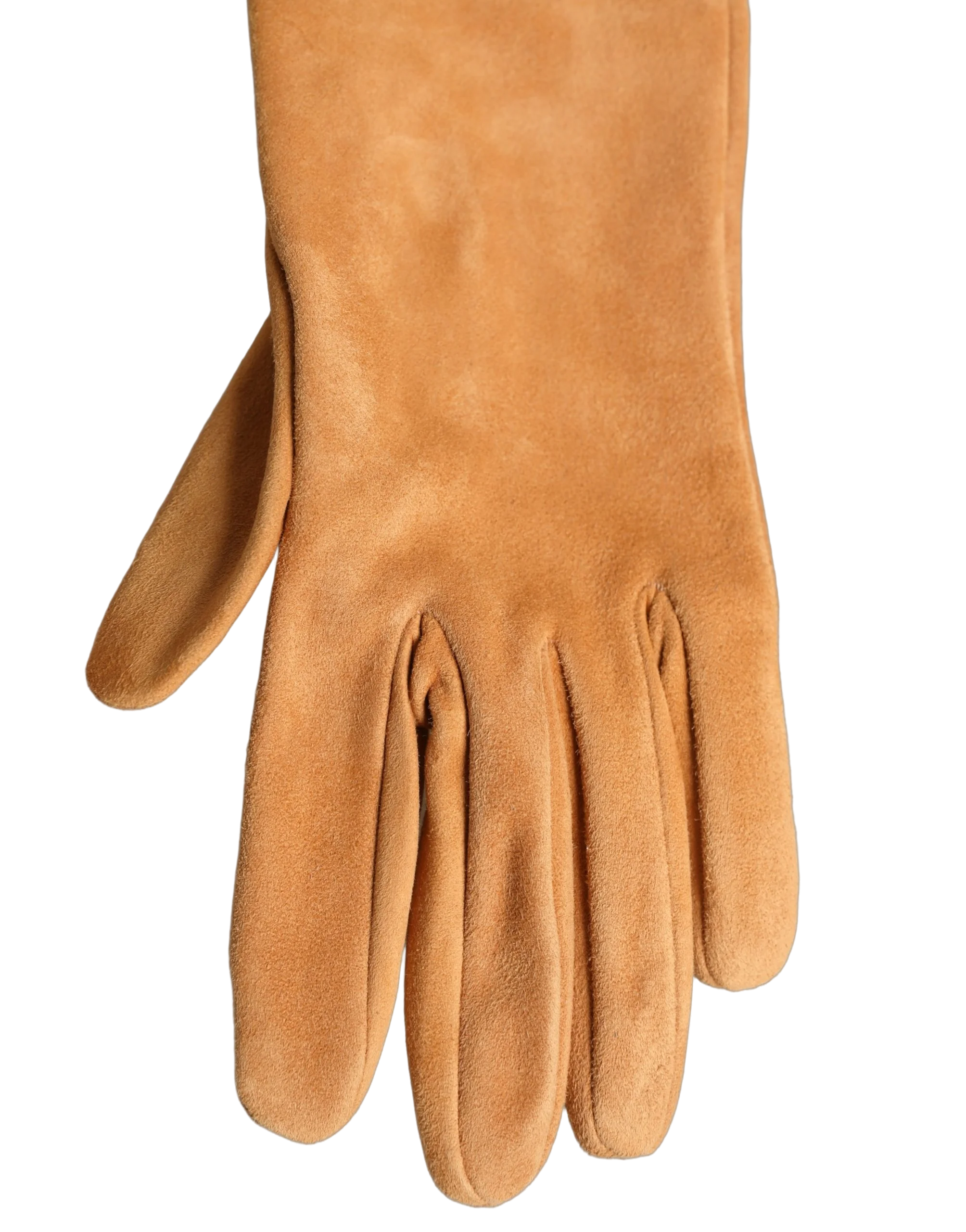 Dolce & Gabbana Suede Elbow Length Gloves — Tan, view 2