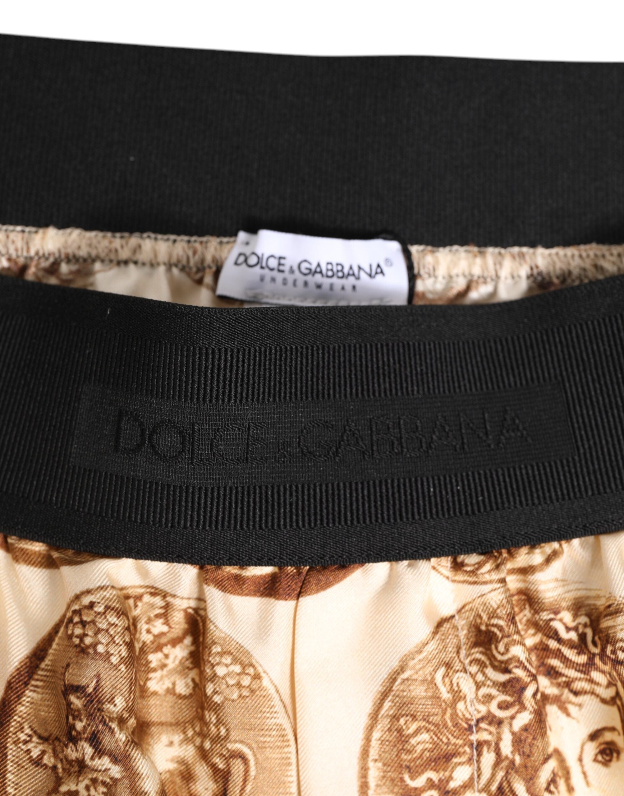 Dolce & Gabbana Ancient Coin Print Silk Swim Shorts — Beige, view 4