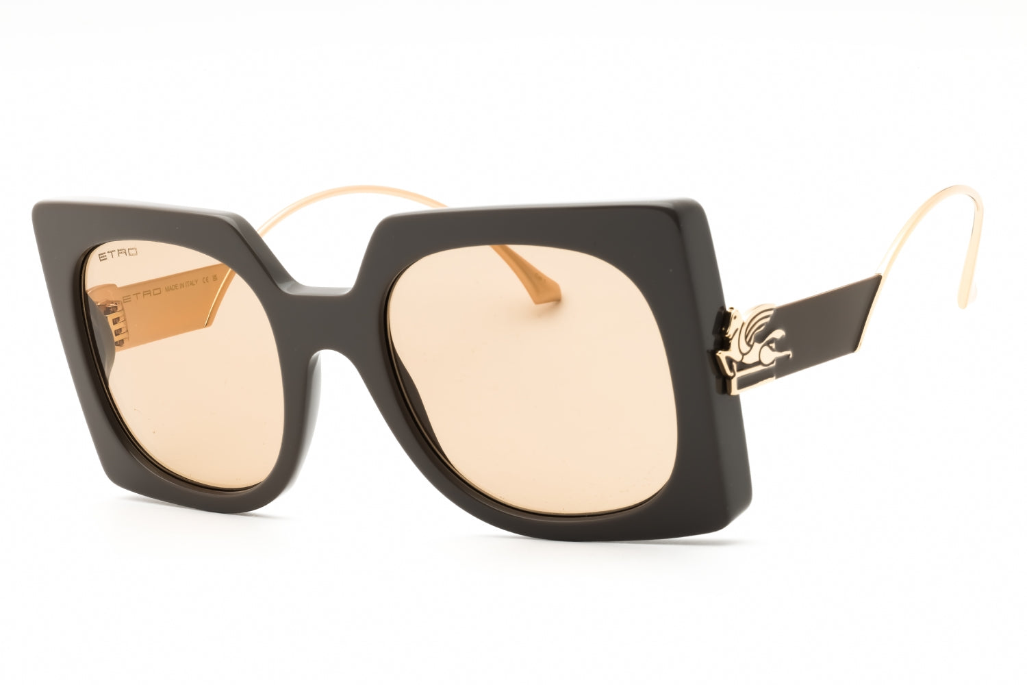 Etro ETRO0026S Sunglasses — Burgundy by Etro