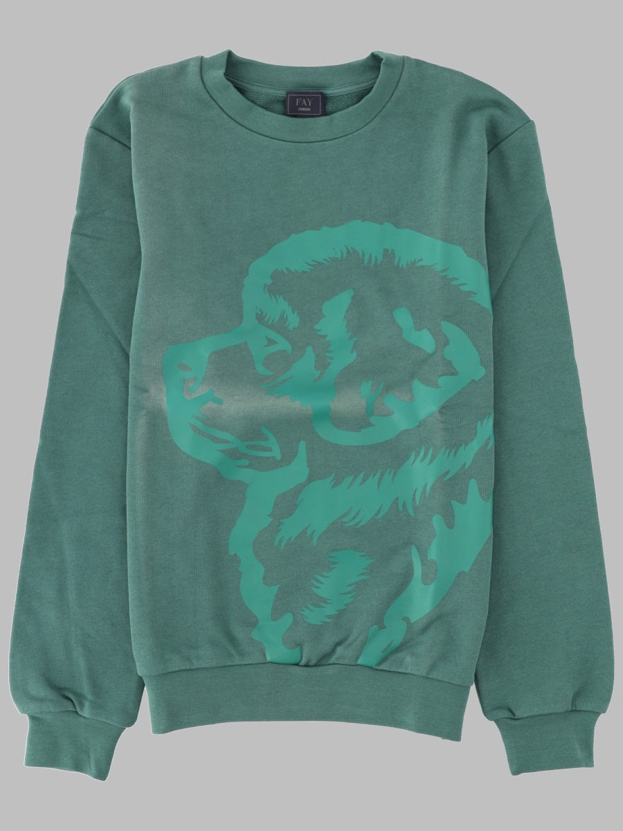 Fay Cotton Sweatshirt — Green by Fay
