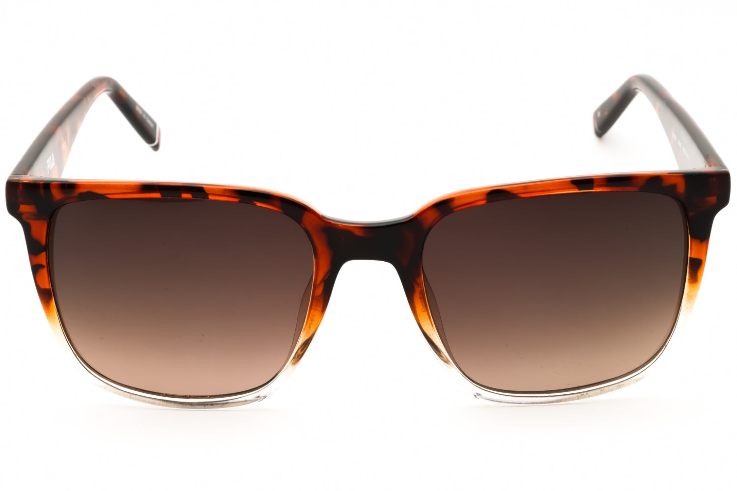 Fila SFI188 Tortoiseshell Acetate Sunglasses — Tortoiseshell, view 2