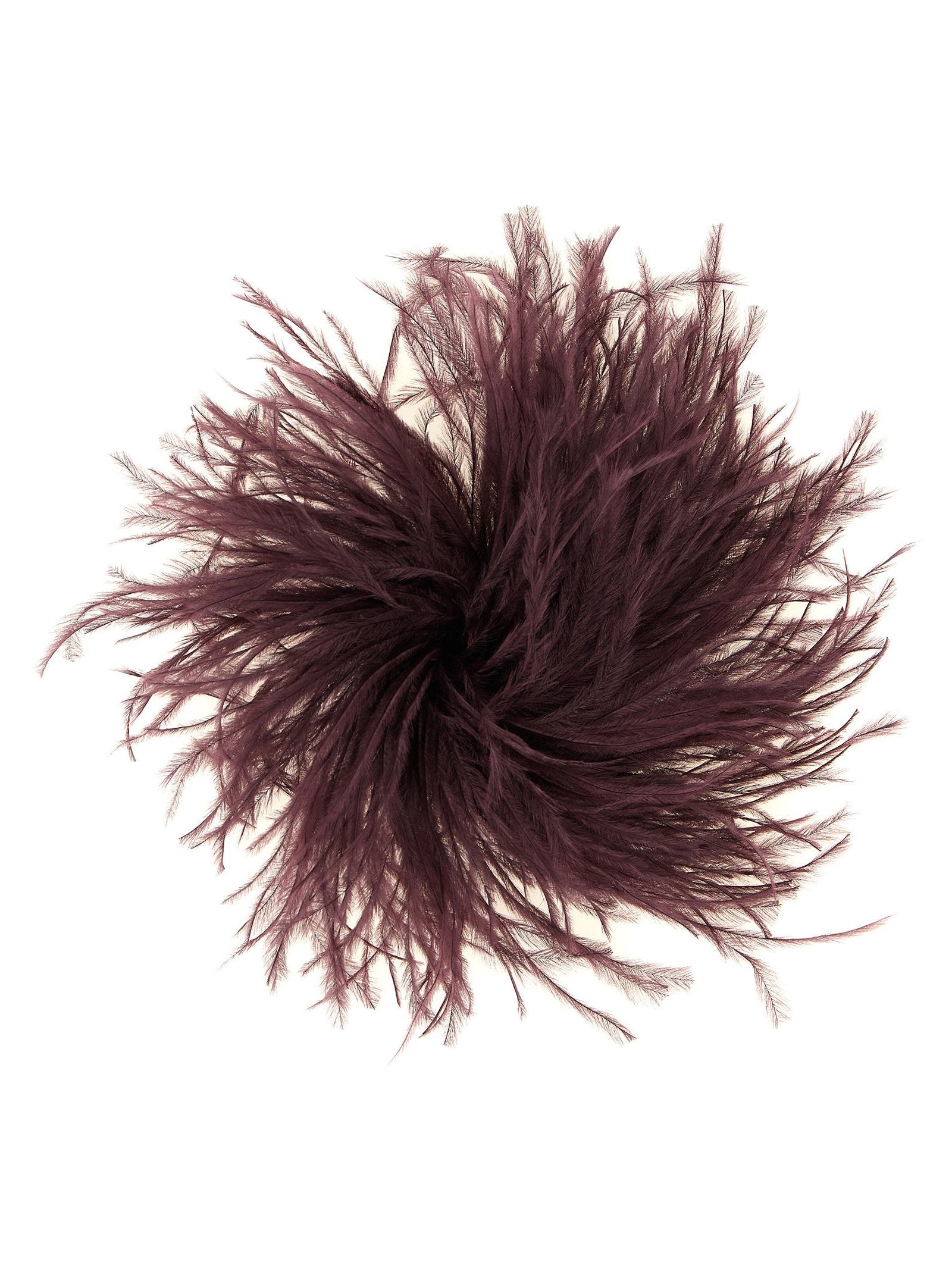 Gianluca Capannolo Ostrich Feather Hair Pin — Aubergine by Gianluca Capannolo
